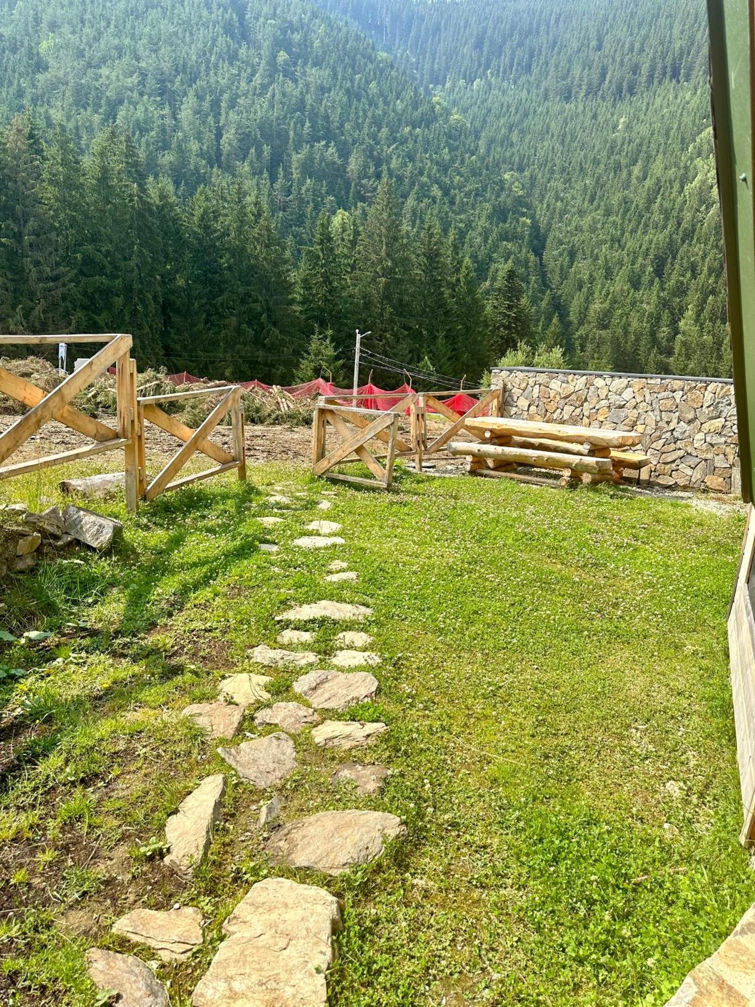 Villa Domul Poarta Retezat Rausor Exterior foto